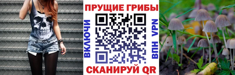 Псилоцибиновые грибы мицелий  omg вход  Лахденпохья 