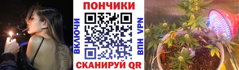 даркнет сайт  Лахденпохья  Каннабис сатива 